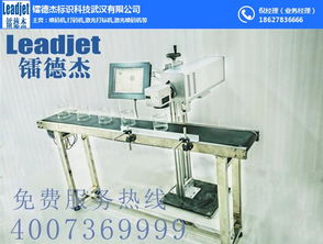 鐳德杰公司 圖 uv噴碼機 西藏噴碼機